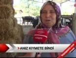 Anız Kıymete Bindi