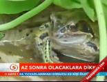 Az Sonra Olacaklara Dikkat  