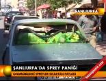 Şanlıurfa'da sprey paniği