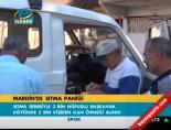 Mardin'de sıtma paniği