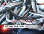 balik fiyatlari - Kar yağdı balık tavan yaptı Videosu