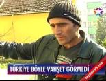 Türkiye böyle vahşet görmedi!