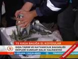 kumkapi - 75 kasa balığa el koydular Videosu