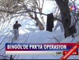 Bingöl'de PKK'ya operasyon