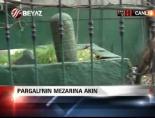 muhtesem yuzyil - Pargalı'nın mezarına akın Videosu