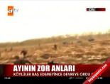 Ayının zor anları