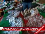 Balıkta kansorejen madde