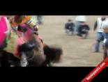 deve guresleri - Deve Güreşinde Kavga Videosu