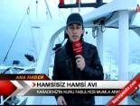 Hamsisiz hamsi avı