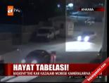 Hayat tabelası Haberi