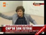 birgul ayman guler - CHP'de şok istifa!  Videosu