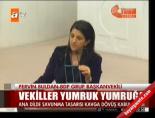 sirri sureyya onder - Vekiller yumruk yumruğa  Videosu
