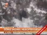 Domuz saldırdı, helikopter kurtardı  online video izle