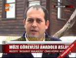 anadolu aslani - Müze görevlisi Anadolu Aslanı Haberi  Videosu