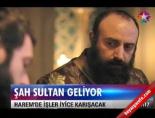 muhtesem yuzyil - Şah Sultan geliyor Haberi  Videosu