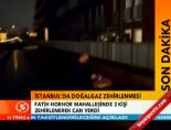 danimarka - Danimarka'da havai fişek kazası Haberi  Videosu