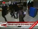 Adana'da bir garip olay! online video izle