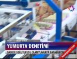 Yumurta denetimi