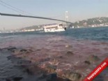 istanbul bogazi - İstanbul Boğaz'ı Yine Kan Gölüne Döndü Videosu