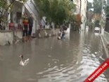 mersinli - İzmir'de Göle Dönüşen Yollarda Kazlar Yüzdü  Videosu
