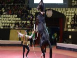 Türkmen Atlarının Muhteşem Gösterisi