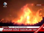 mogan golu - Mogan Gölü sazlıkları yandı  Videosu