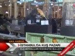 İstanbul'da kuş pazarı 