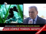 izmir korfezi - İzmir Körfezi yeniden hayatta  Videosu