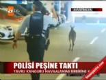 avustralya - Polisi peşine taktı  Videosu