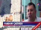 Yardım çağırdı 