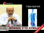 at nali bobrek - ''At nalı böbrek'' 2 hastaya can verdi  Videosu