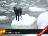 buz tutan gol - Buz kırılınca göle düştü  Videosu