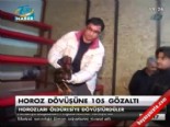 horoz dovusu - Horoz dövüşüne 105 gözaltı  Videosu