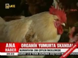 organik yumurta - Organik yumurta skandalı  Videosu