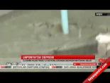japonya - Japonya'da deprem Videosu