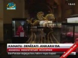 kanatli denizati - Kanatlı Denizatı Ankara'da  Videosu