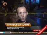 İstanbul'da Lodos  online video izle