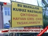 Sarıyer Uskumruköy'de kuduz paniği  online video izle