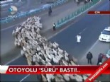 cin halk cumhuriyeti - Otoyolu 'sürü' bastı  Videosu