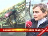 cam kese bocegi - İstanbul'un 'gladyatör böcekleri'  Videosu