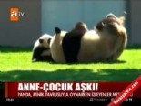 panda - Anne-Çocuk aşkı Videosu