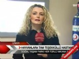 Hayvanlara tam teşekküllü hastane 