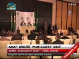 arap birligi - Arap birliği 'Muhalefet' dedi  Videosu