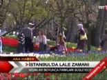 lale festivali - İstanbul'da lale zamanı  Videosu