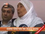 Emine Nine'nin tek dileği barış