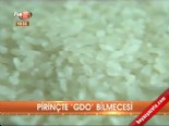 gdo - Pirinçte GDO bilmecesi  Videosu