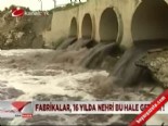 ergene nehri - Ergene'den Ölüm Akıyor  Videosu