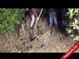 guneri koyu - Adana'da Kepçe Operatörünü İşkenceyle Öldürüp Gömdüler  Videosu