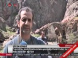 rabat vadisi - Rabat Vadisi doğa severleri ağırladı  Videosu