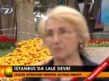 İstanbul'da lale devri  online video izle